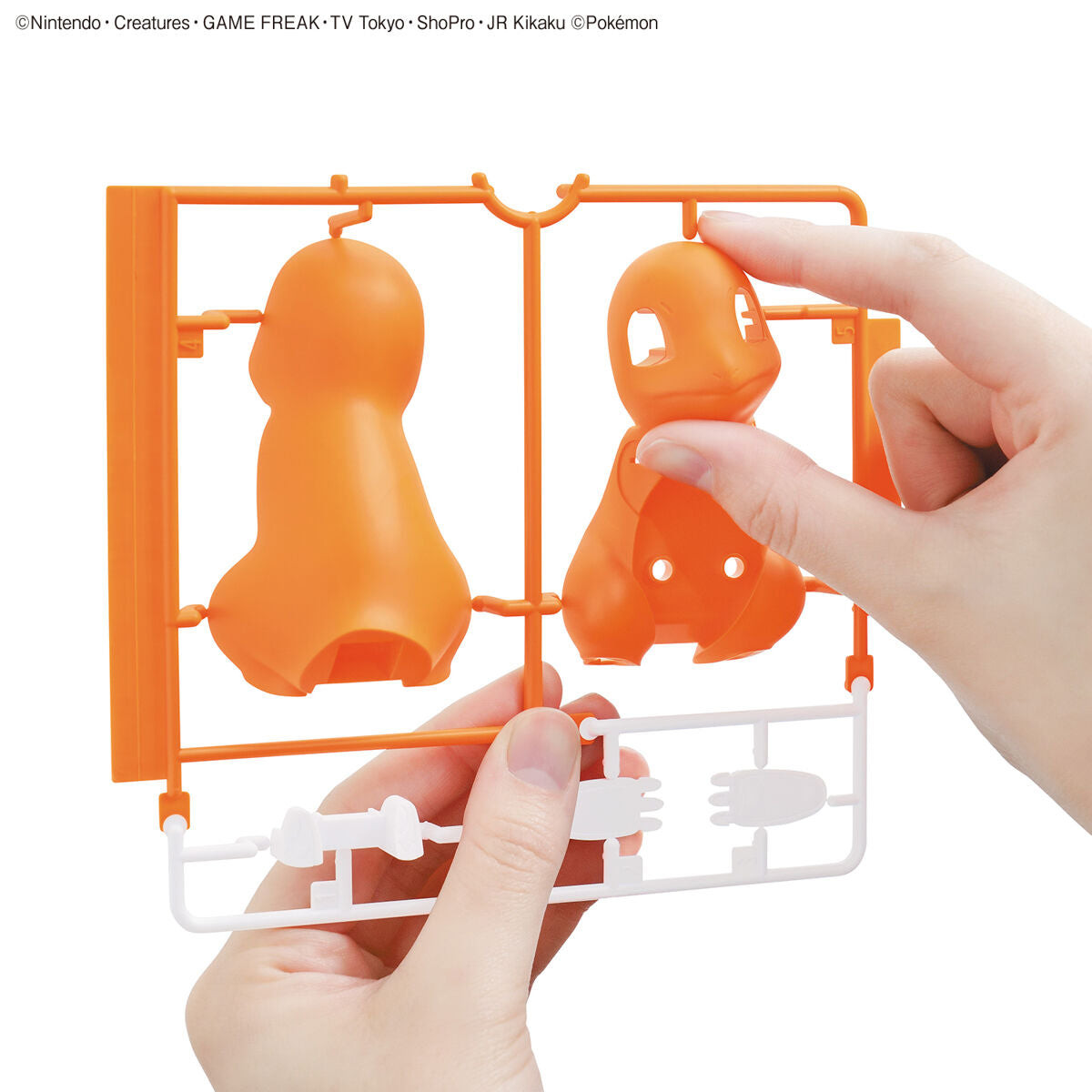 Pokemon - Plastic Model Collection Quick!! : 11 Charmander