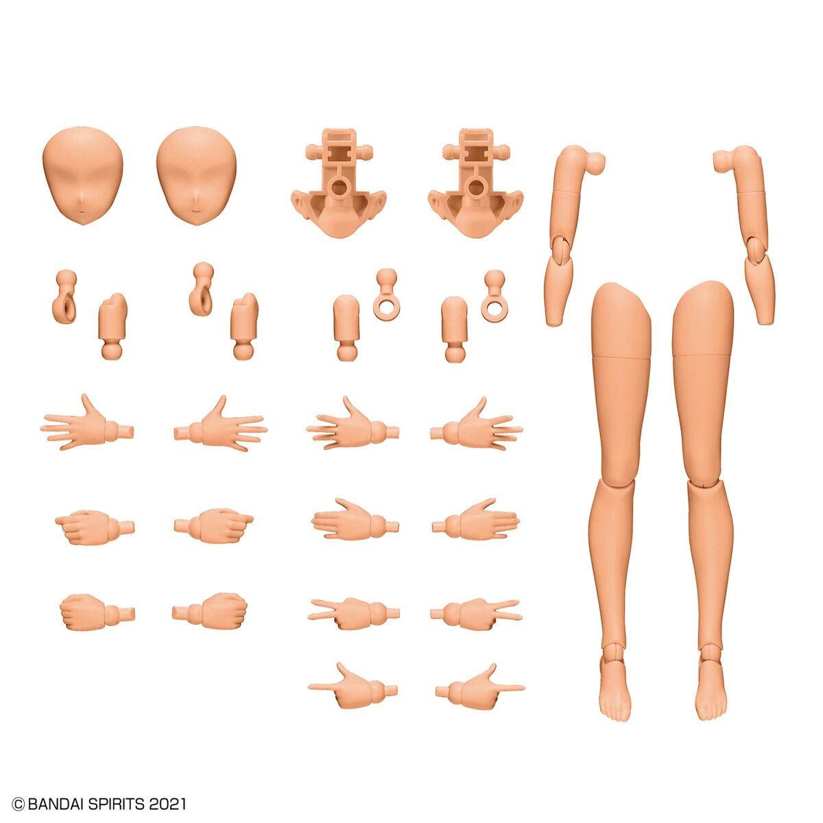 Option Body Parts Arm Parts & Leg Parts - Color C 30MS 1/144