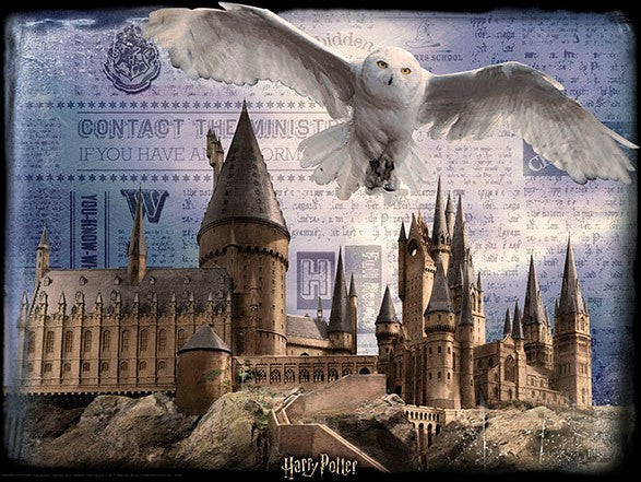 Wizarding World : Harry Potter Hogwarts Castle and Hedwig 3D image puzzle (500pc)