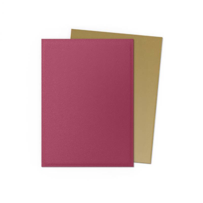 Dragon Shield Dual Matte sleeves (100) - Red Gold (Anniversary Special Edition)