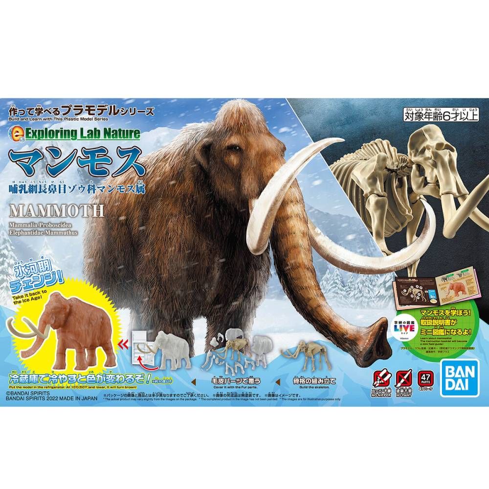 Exploring Lab Nature : Mammoth