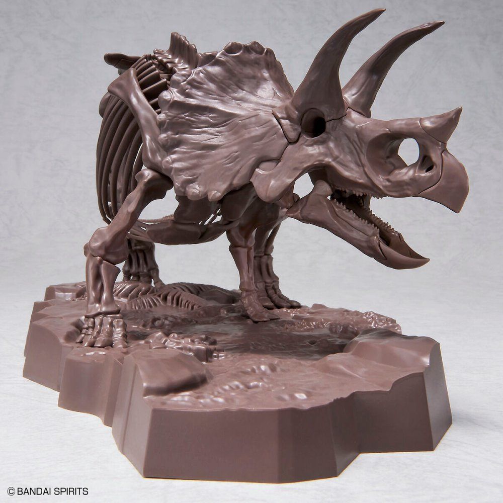 Imaginary Skeleton : Triceratops 1/32