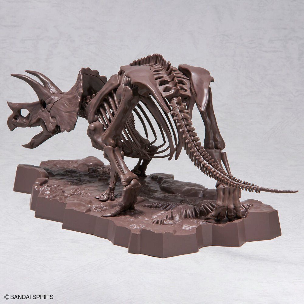 Imaginary Skeleton : Triceratops 1/32