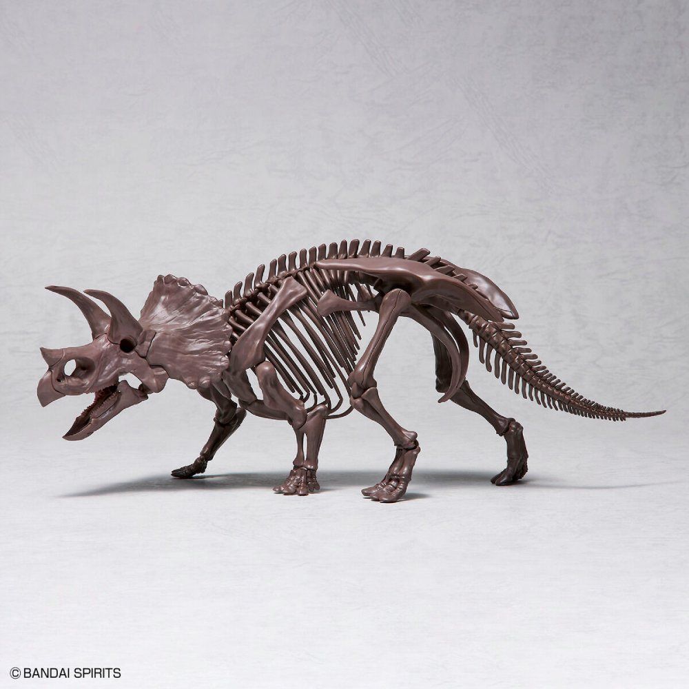 Imaginary Skeleton : Triceratops 1/32