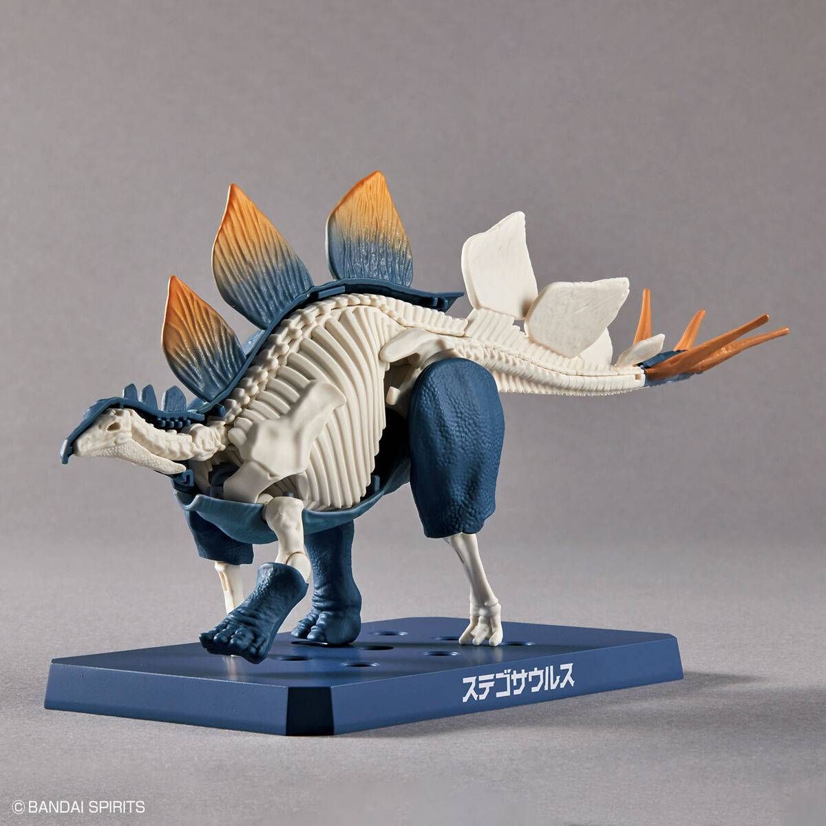 Plannosaurus : Stegosaurus