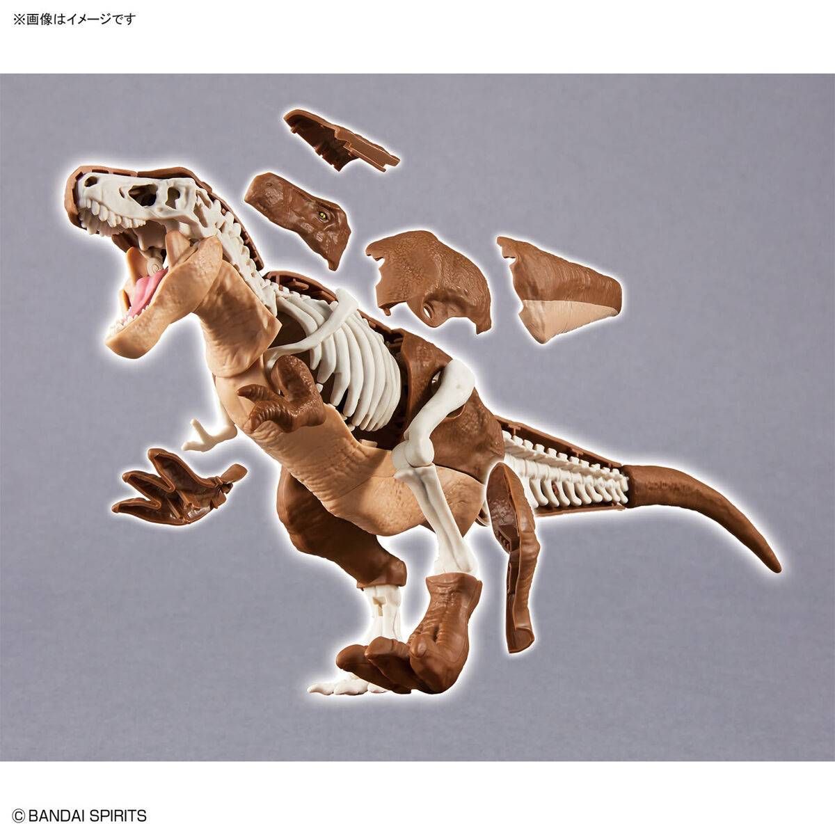 Plannosaurus : Tyrannosaurus