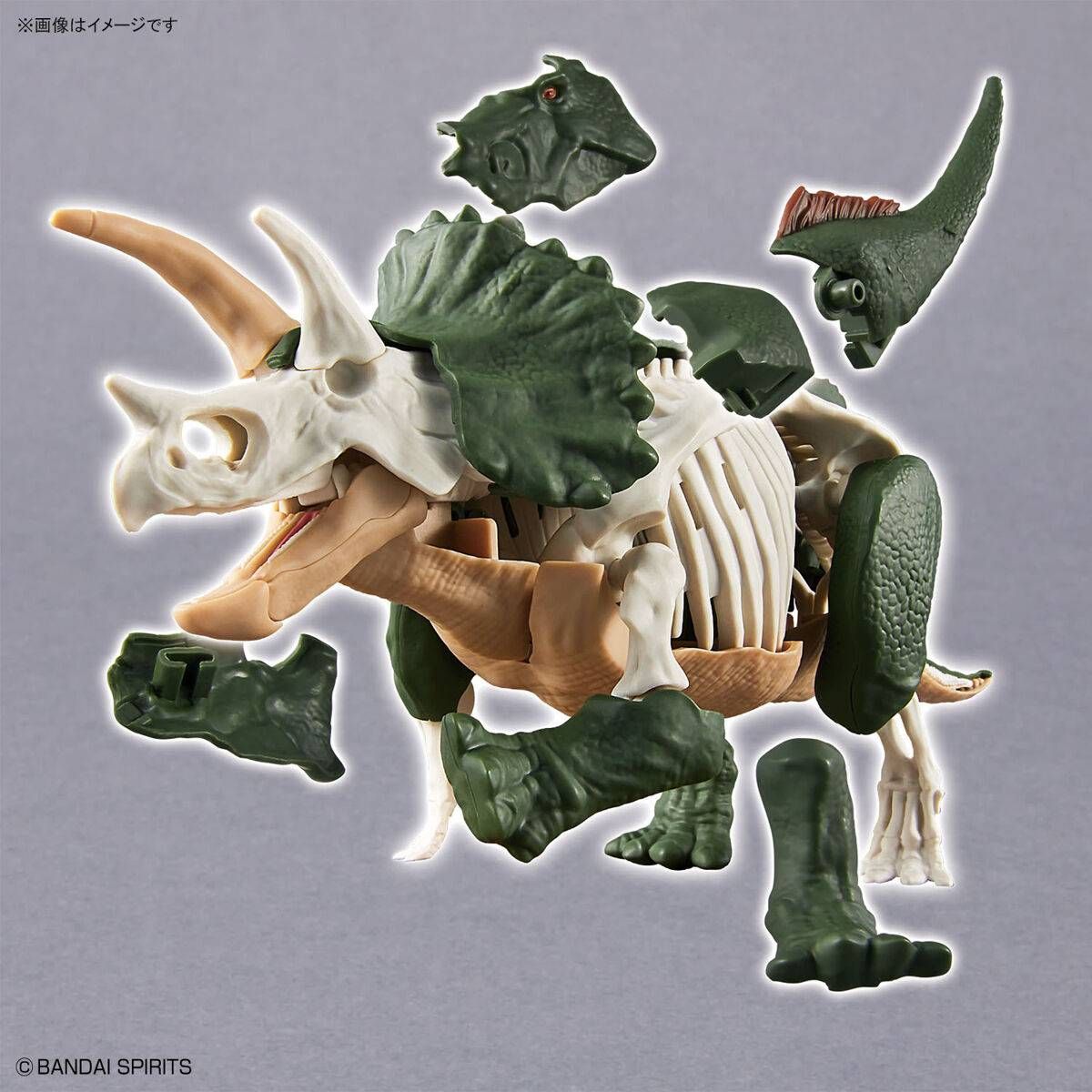 Plannosaurus : Triceratops