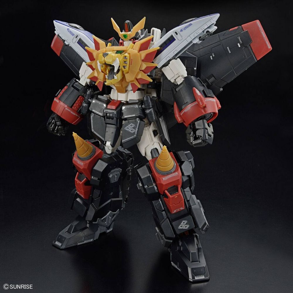 GAOGAIGAR RG