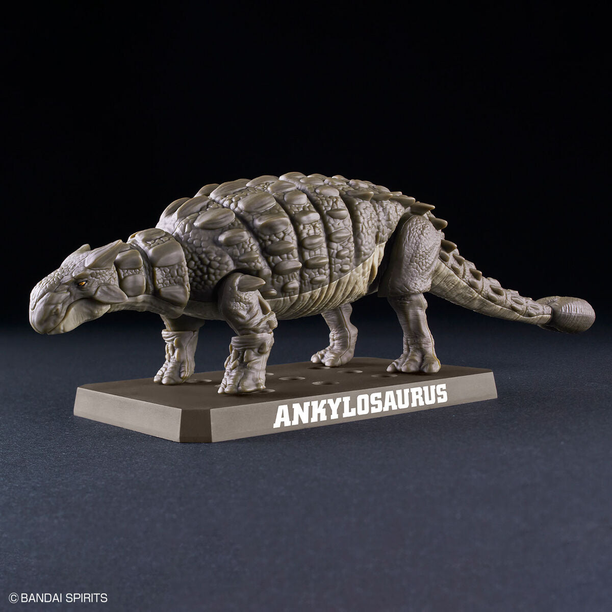 Plannosaurus : Ankylosaurus