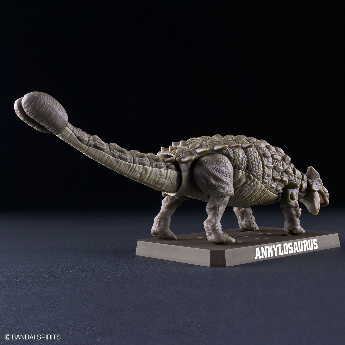 Plannosaurus : Ankylosaurus