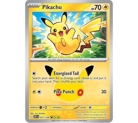 Pokémon: 30th Celebration - Mini Tin: Night - Zapdos & Hisuian Zorua