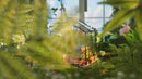 Robotime Cathy's Flower House