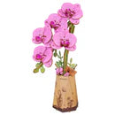 Robotime Purple Moth Orchid / Paarse Orchidee TW091
